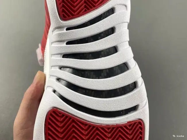 Cheap TBK Air Jordan 12 Alternate 130690-600 0520